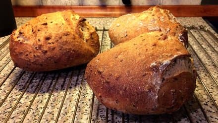 Langtidshævet brød