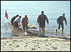 Landgang p� stranden