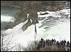 Rheinfall